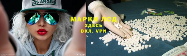 стаф Абаза