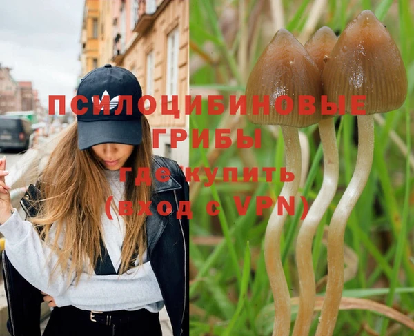 apvp Абинск