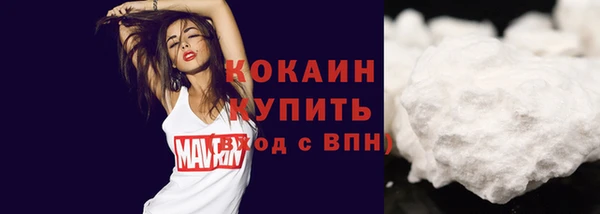 стаф Абаза