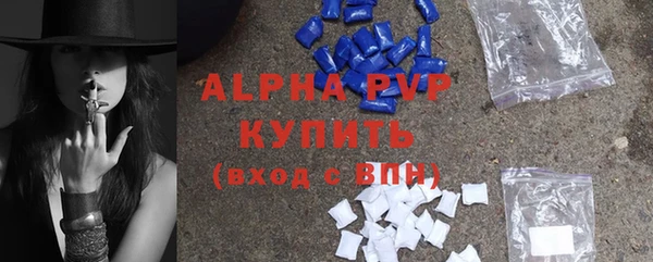 стаф Абаза