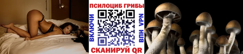 купить  сайты  Кинешма  Галлюциногенные грибы Magic Shrooms 