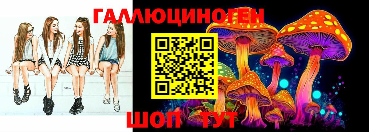 Кинешма  Галлюциногенные грибы Psilocybe  Галлюциногенные грибы Cubensis  Вход с VPN 